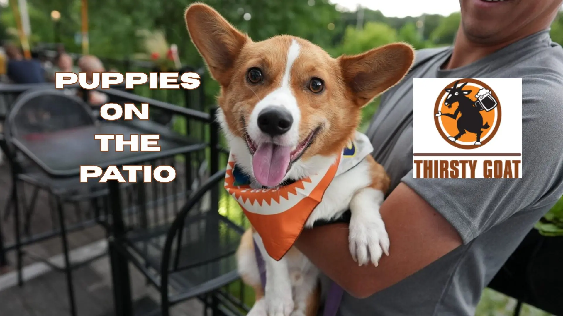 Thirsty Goat Puppies on the Patio Social Media Post Example