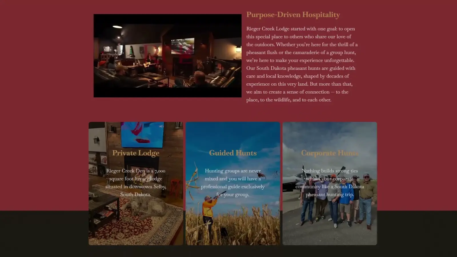 Example of Paul Nelson Website with Updates