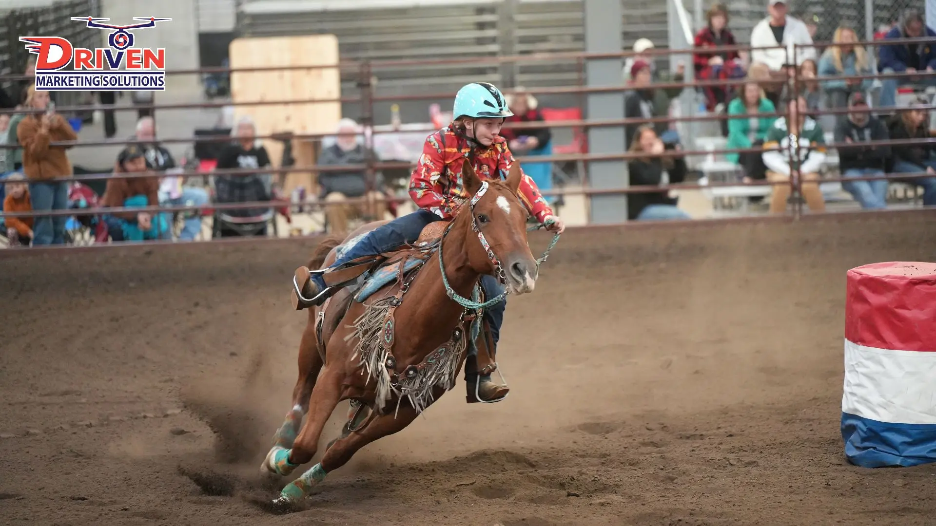 Branded creative from a horse show livestream project